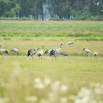 Seebadidylle - 5-sterne-ferienwohnung Mit Blick Auf Den Saaler Bodden Wustrow (Fischland)
