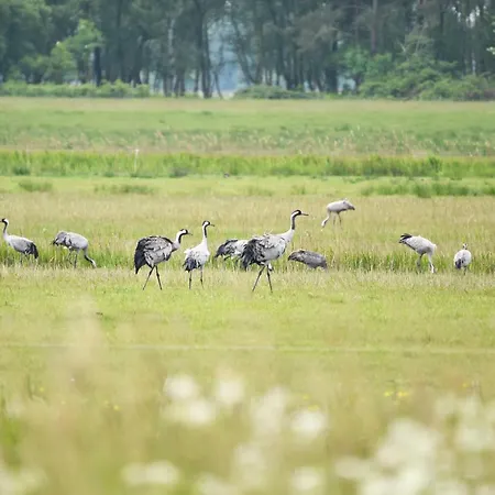Seebadidylle - 5 Sterne Mit Traumhaftem Blick Auf Den Saaler Bodden Aus Dem Dritten Obergeschoss Wustrow