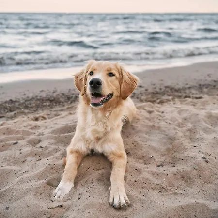 Apartman Seebadidylle - 5 Sterne Mit Traumhaftem Blick Auf Den Saaler Bodden Aus Dem Dritten Obergeschoss