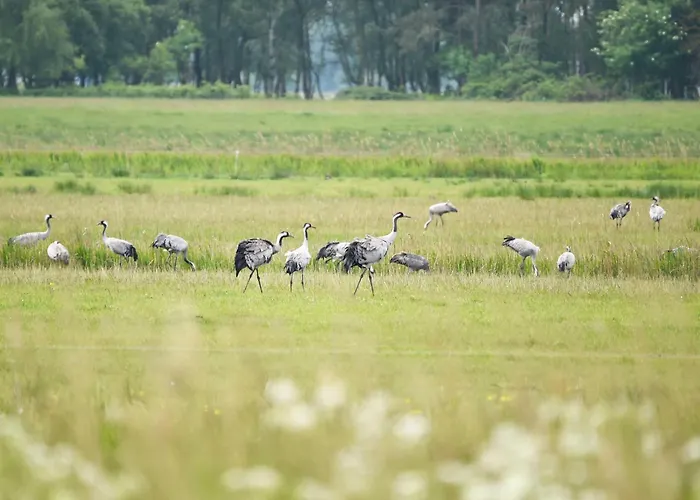 Seebadidylle - 5-Sterne-Ferienwohnung Mit Blick Auf Den Saaler Bodden Wustrow (Fischland)